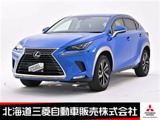 NX300h バージョンL 4WD10型ナビ 本革シート 電動バックドア ETC